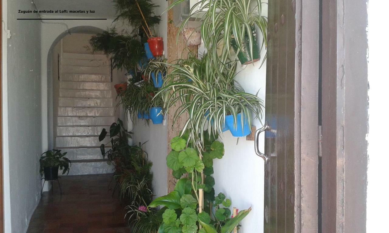 Dos Casitas, Dos Calles, - Loft De La Morena O Estudio Jr Vejer de la Frontera Bagian luar foto
